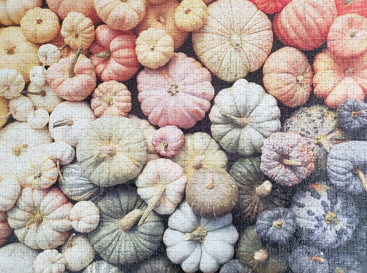 Heirloom Pumpkins Puzzle from Galison