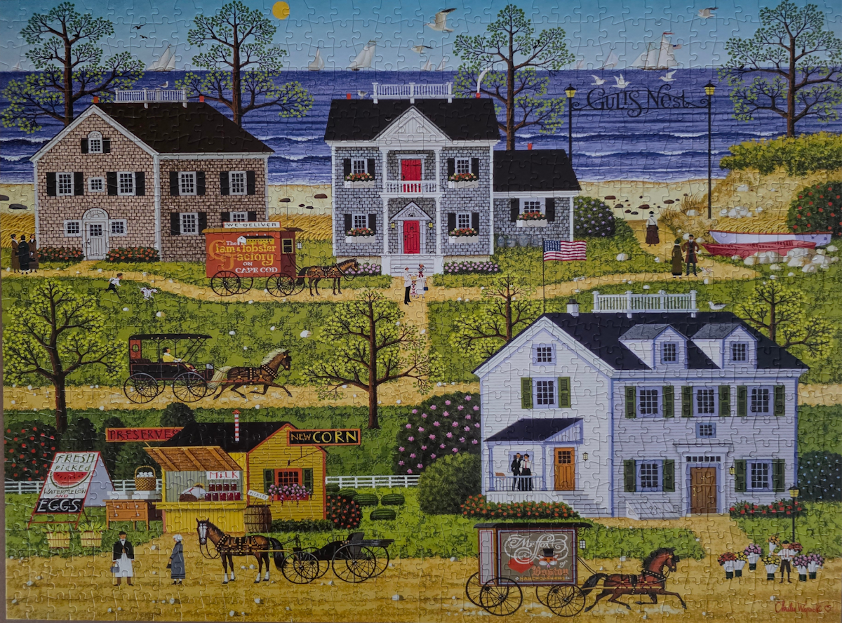 Gull's Nest Puzzle from Buffalo Games