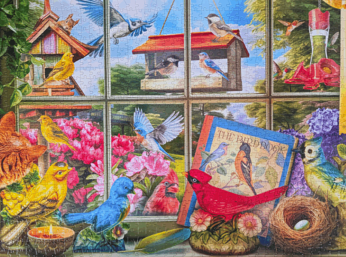 Birdwatching Fun Puzzle from Buffalo Games