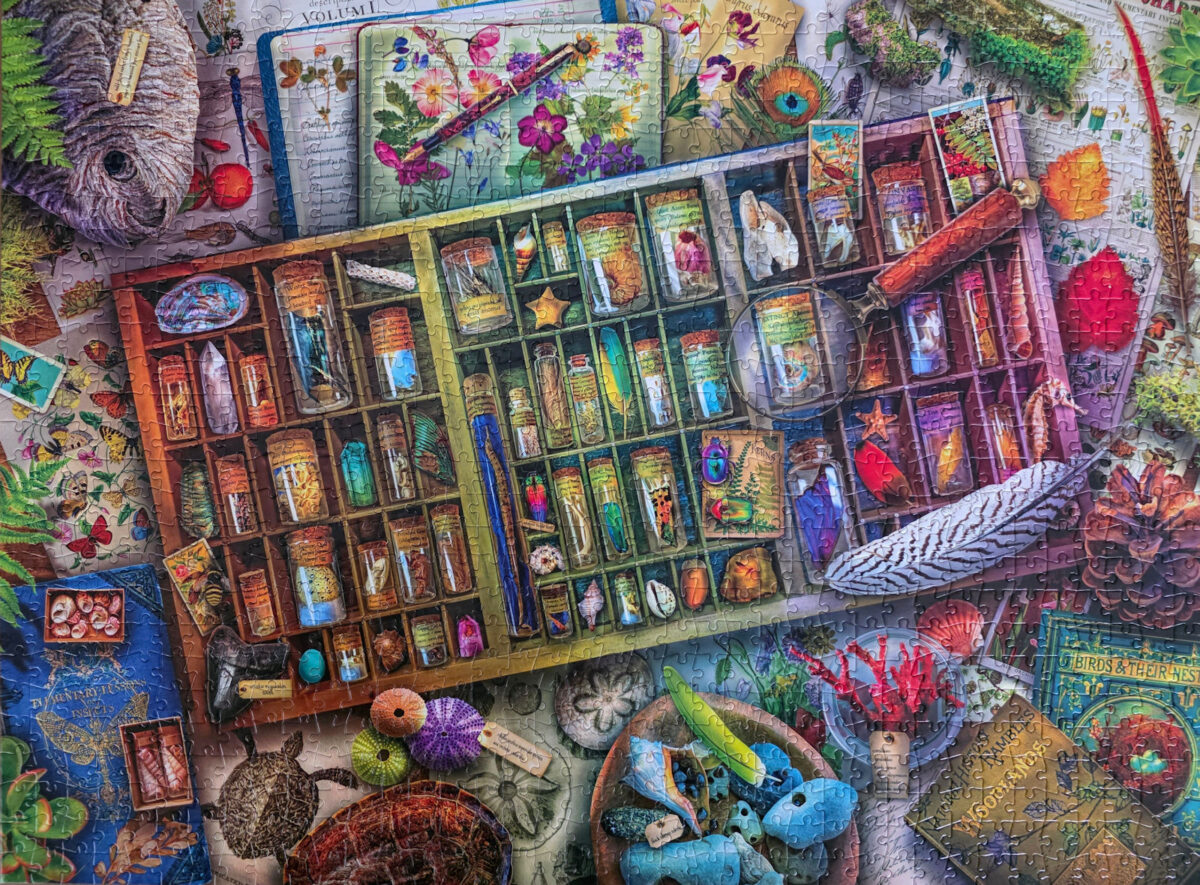 The Naturalist's Collection Puzzle from Buffalo Games