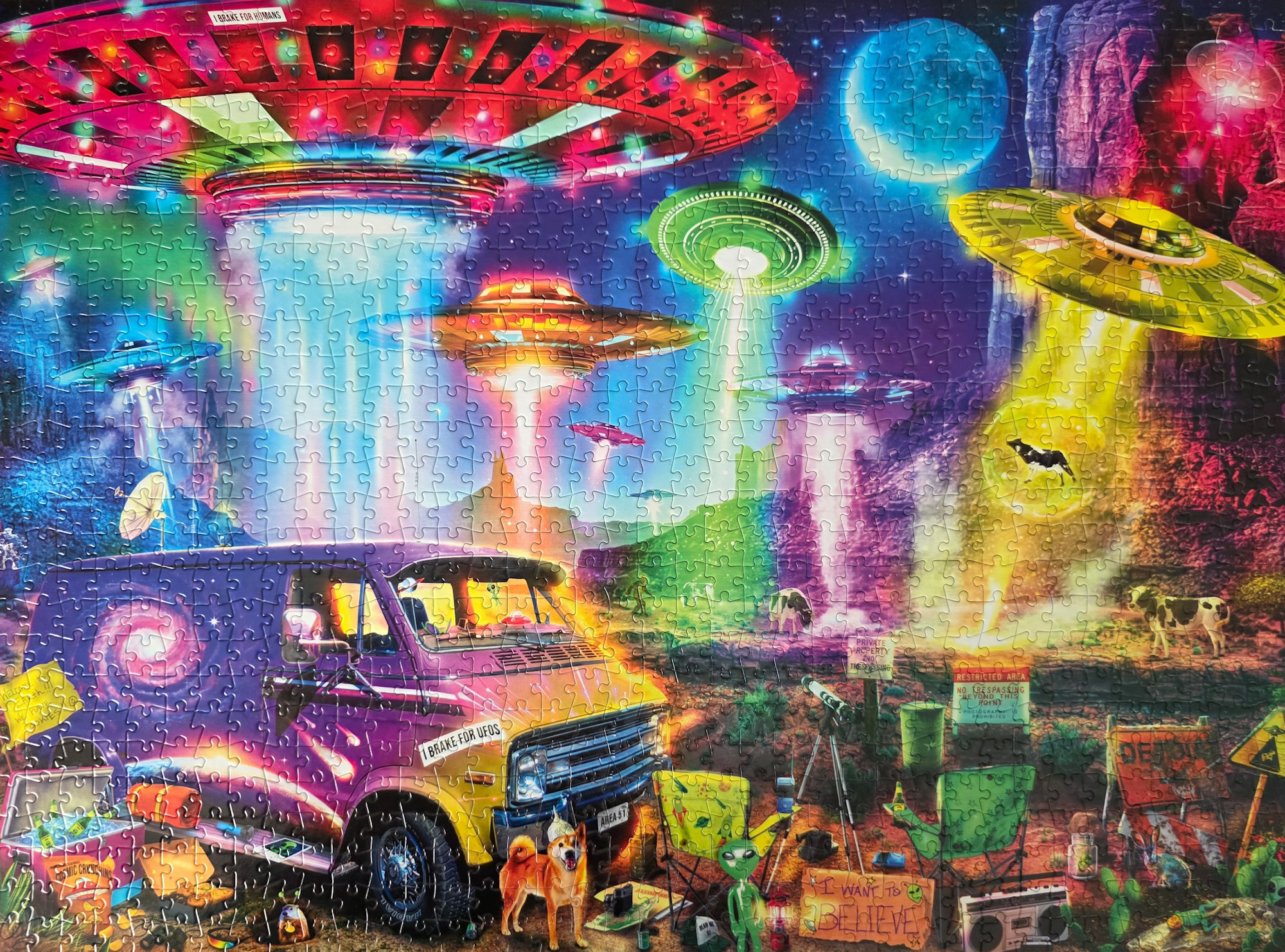 I Brake For UFOs Puzzle from Buffalo Games